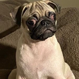 Meet your Posher, Nathan